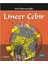 Lineer Cebir 1