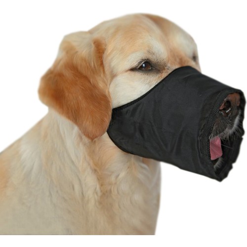 köpek ağızlık