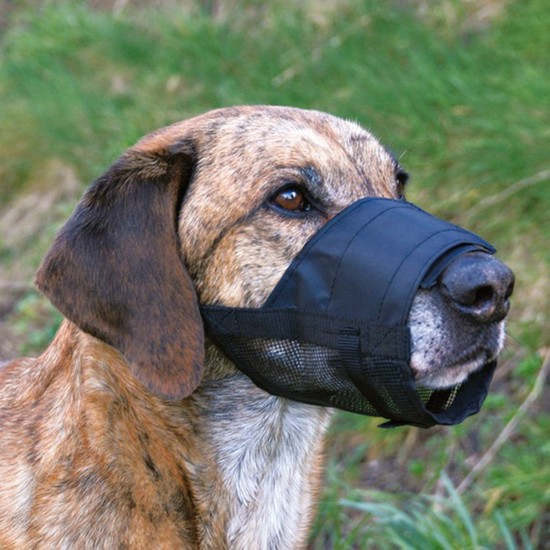 Trixie Köpekler İçin Fileli Ağızlık SM 520cm Fiyatı