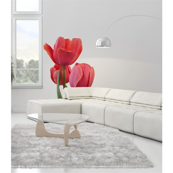 Stok Fazlası Tulip Dev Duvar Sticker Fiyatı Taksit Seçenekleri Stok Fazlası Tulip Dev Duvar Sticker Fiyatı Taksit Seçenekleri