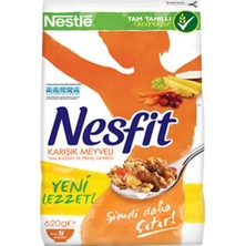 Nestle Nesfit Karışık Meyveli 400 gr