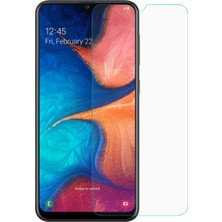 Microsonic Samsung Galaxy A20e Nano Cam Ekran Koruyucu