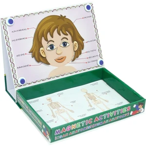 Manyetik Insan Anatomisi Aktivite