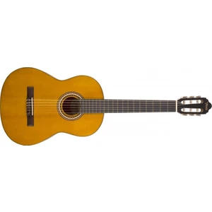 Valencıa Vc204 Klasik Gitar, 4/4, Naturel Mat, Kapak Sıtka Ladini