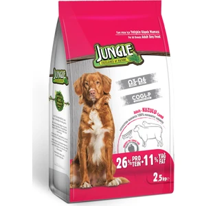 2;50 kg Kuzu Etli Yetişkin Köpek Maması