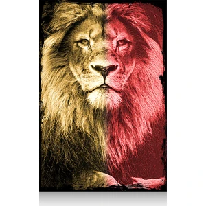 Mini Ahşap Tablo Gs Aslan  20X30cm
