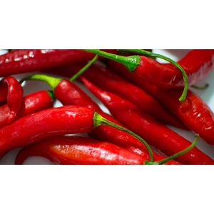 Atom Biber Tohumu 50'li + Saksı + Torf + Tohum