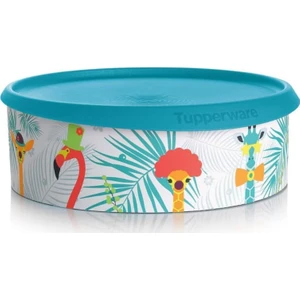 Hsgl Tupperware Tek Parmak Kurabiye Kutusu ( Turkuaz )