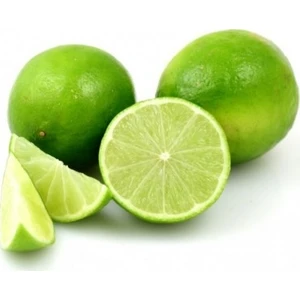 Berke Fidancılık Lima Verde- Tatlı Lime Limon Fidanı Nadir Çeşit 5 Yaşlı Tüplü