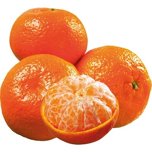 Berke Fidancılık King Mandalinası (3,5 Yaş-Torbalı-100 Cm Üzeri)
