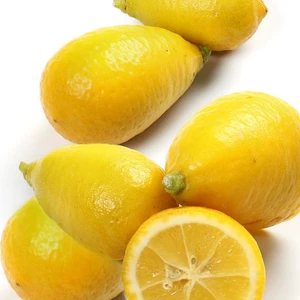 Berke Fidancılık Limequat  Nadir Çeşit 6 Yaş  Saksılı