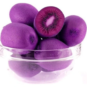 Berke Fidancılık Mor Kivi Actinidia Purpurea Hardy Kivi  +60 Cm Torbalı