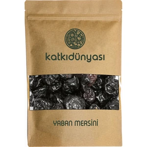 Katkı Dünyası Yaban Mersini 50 Gr