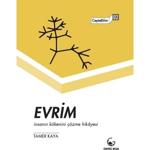 Evrim-İnsanın Kökenini Çözme Hikayesi