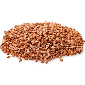 Bahçe Life Kara Buğday Tohumu + Çimlendirme Torfu