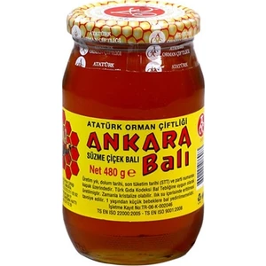 Atatürk Orman Çiftliği Ankara Çiçek Balı 480 gr