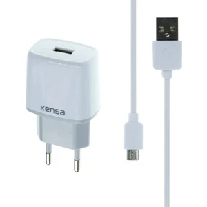 2.1A Micro USB Hızlı Şarj Cihazı