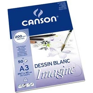 Imagine Çok Amaçlı Defter Blok 200 Gr. 50 Sayfa A3