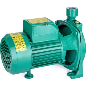 Staxx Power CPM158 1 Hp Su Pompası Santrifüj Pompa 30MSS 80 lt/dk