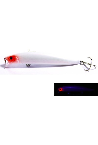 Fujin Punisher 10,5Cm 16Gr Floating Suni Yem