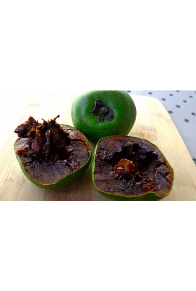Plantistanbul Diospyros Digyna Black Sapote Çikolata Meyvesi Fidanı 20-40 Cm Saksıda