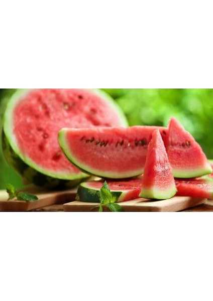Karpuz Tohumu Crimson Sweet Karpuz Tohumu 15'li + Torf + Saksı + Tohum modelleri