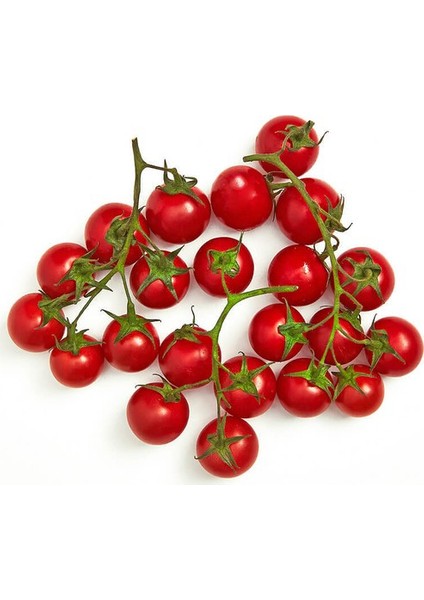 Cherry Domates Tohumu Organik Domates Tohumu 20'li + Torf + Saksı + Tohum