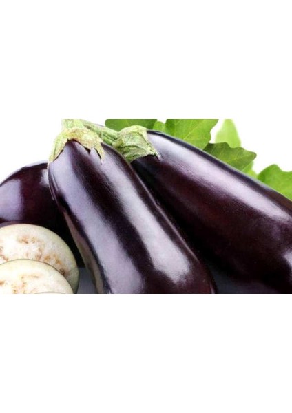 Siyah Tatlı Patlıcan Organik Patlıcan Tohumu 50'li + Torf + Saksı + Tohum fiyatları