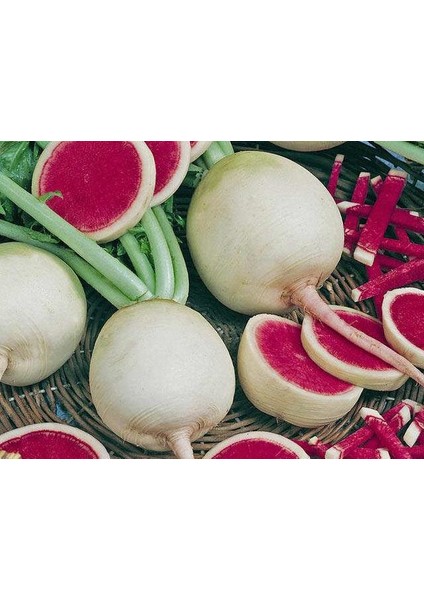 Beyaz Turp Tohumu 50'li + Saksı + Torf + Tohum