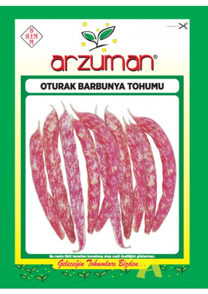 Oturak Barbunya Tohumu