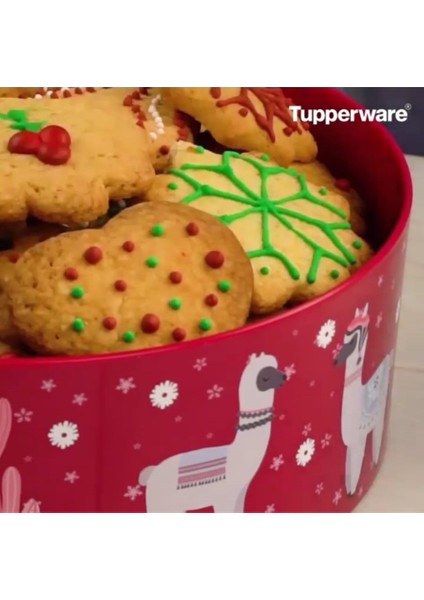 Hsgl Tupperware Tek Parmak Kurabiye Kutusu ( Kırmızı )