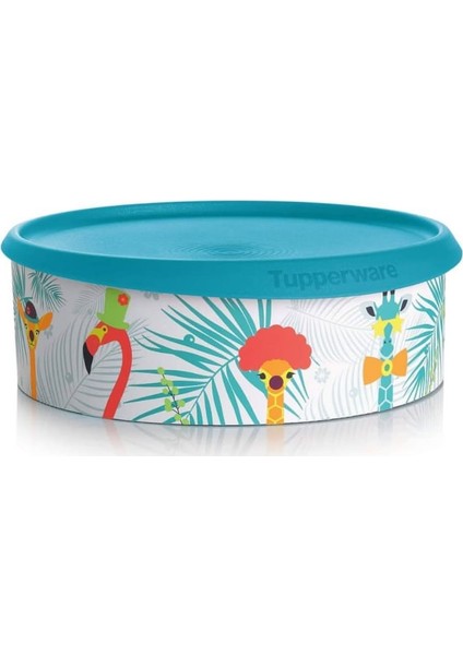 Hsgl Tupperware Tek Parmak Kurabiye Kutusu ( Turkuaz )