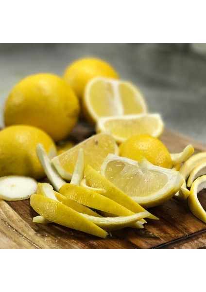Bergamot Fidanı (Saksılı)