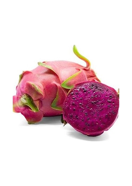 Pitahaya-Ejder Meyvesi (İçi Kırmızı) Fidesi
