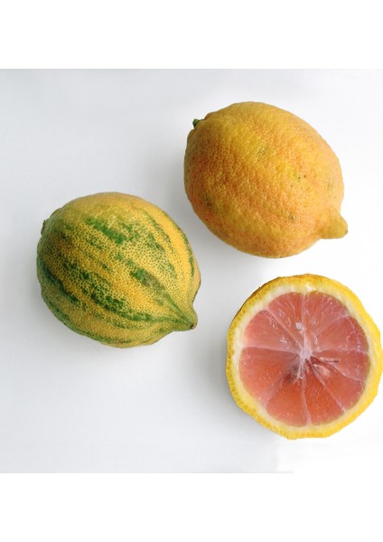 Pembe Alacalı Limon (!!!Yeni Ürün!!!-Torbalı)