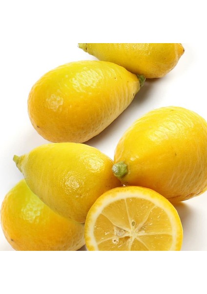 Limequat Nadir Çeşit 6 Yaş Saksılı
