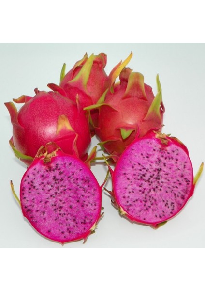 Pitaya-Ejder Meyvesi Özel Tür Condor (Sınırlı Stok Kaçırma.)