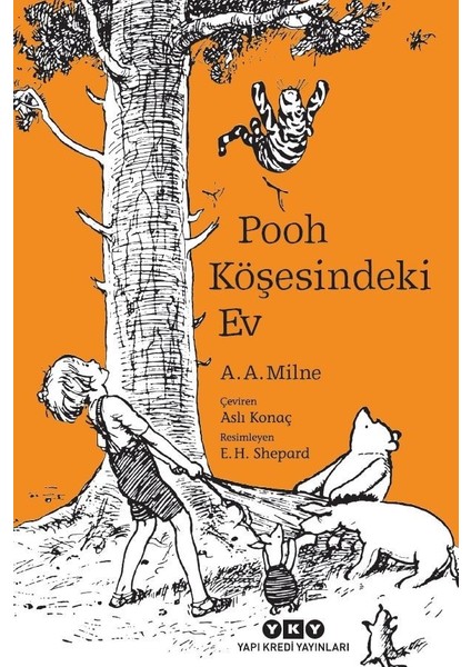 Pooh Köşesindeki Ev