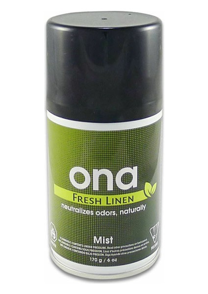 Mist Fresh 170 Ml