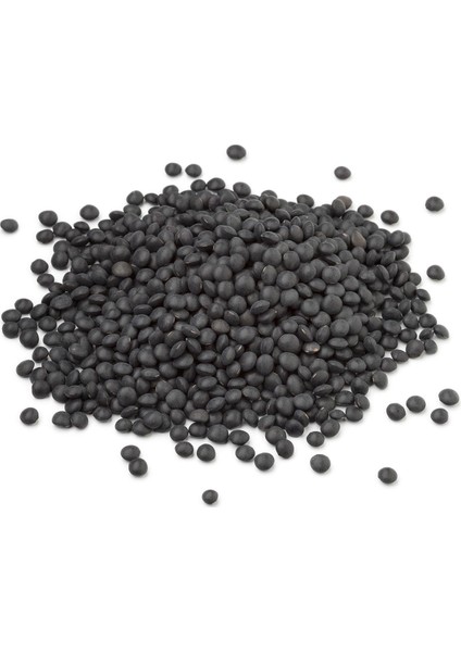 Beluga Siyah Mercimek Tohumu + Çimlendirme Torfu