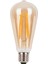 Edison St 64 Flamanlı Rustik Led Ampul 6 Watt Armut Model Rustik Ampul 1