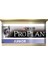 Proplan Junior Tavuklu Yavru Kedi Maması 85 g x 12 Adet 1