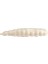 Gulp Alive Honey Worm Sahte Kurt 1