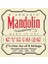 Daddario J74 Mandolin Tel Set Phos Brz Med 1