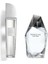 Perceive Erkek Edt 100 ml & Avon Purblanca Edt Bayan Parfüm 1