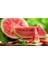 Karpuz Tohumu Crimson Sweet Karpuz Tohumu 15'li + Torf + Saksı + Tohum 3