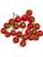 Cherry Domates Tohumu Organik Domates Tohumu 20'li + Torf + Saksı + Tohum 1