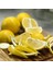 Bergamot Fidanı (Saksılı) 1
