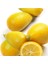 Limequat Nadir Çeşit 6 Yaş Saksılı 1