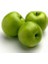 Tüplü Yarıbodur Granny Smith Elma Fidanı (Anaç Mm106) 1